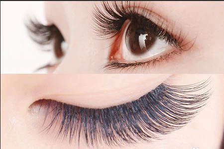 lashes